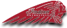 Indian Motorcycle Logo