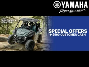 Read more about the article Limited Time Offers On Side-By-Sides!