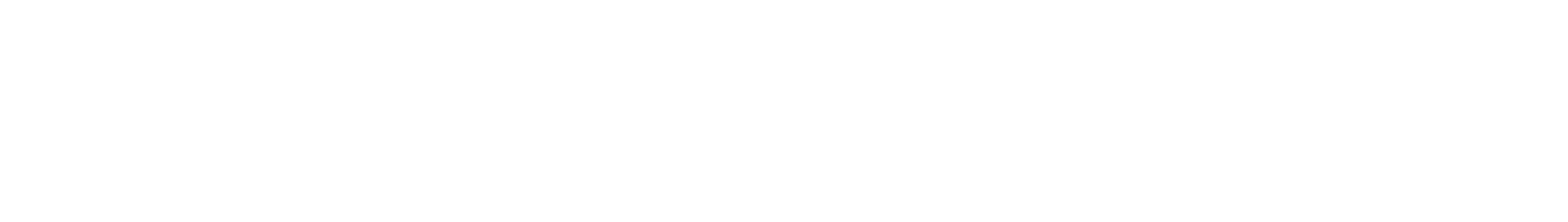 Slingshot Logo